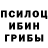 Галлюциногенные грибы Cubensis Barin67 Barin67
