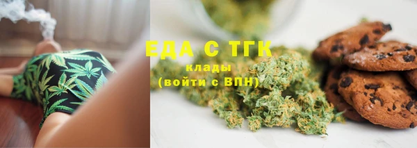 гидра Гусев
