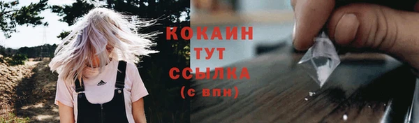 гидра Гусев