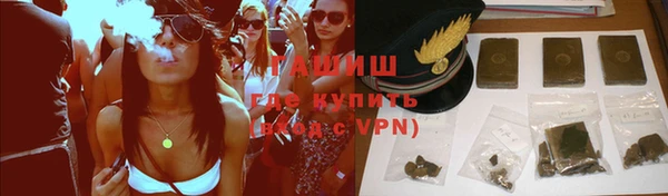 прущие грибы Гусиноозёрск