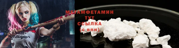 прущие грибы Гусиноозёрск