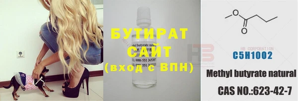 прущие грибы Гусиноозёрск