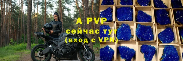 прущие грибы Гусиноозёрск