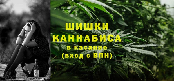 молекула духа Тихвин