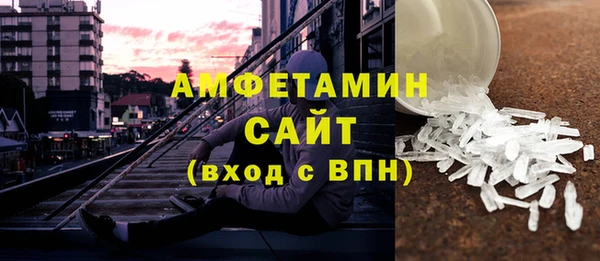 гидра Гусев