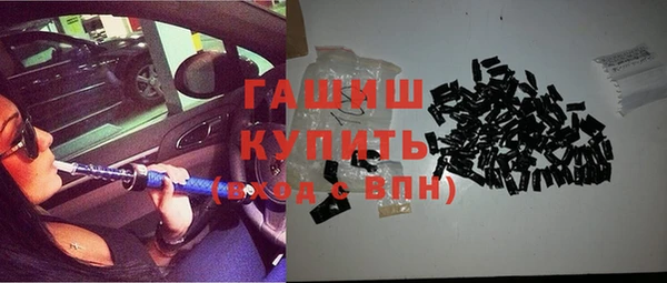 гидра Гусев